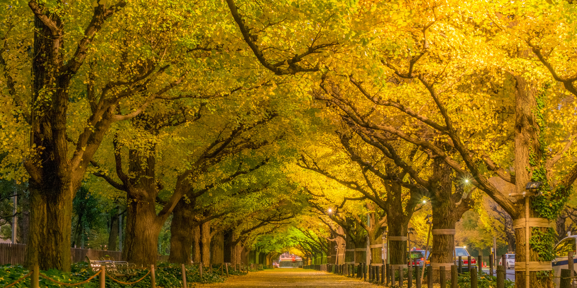 Meiji Jingu Gaien