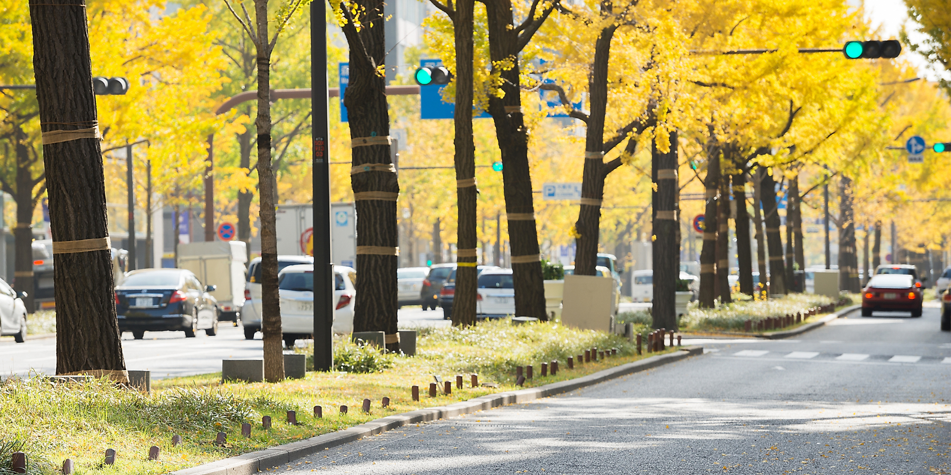 Midosuji Avenue